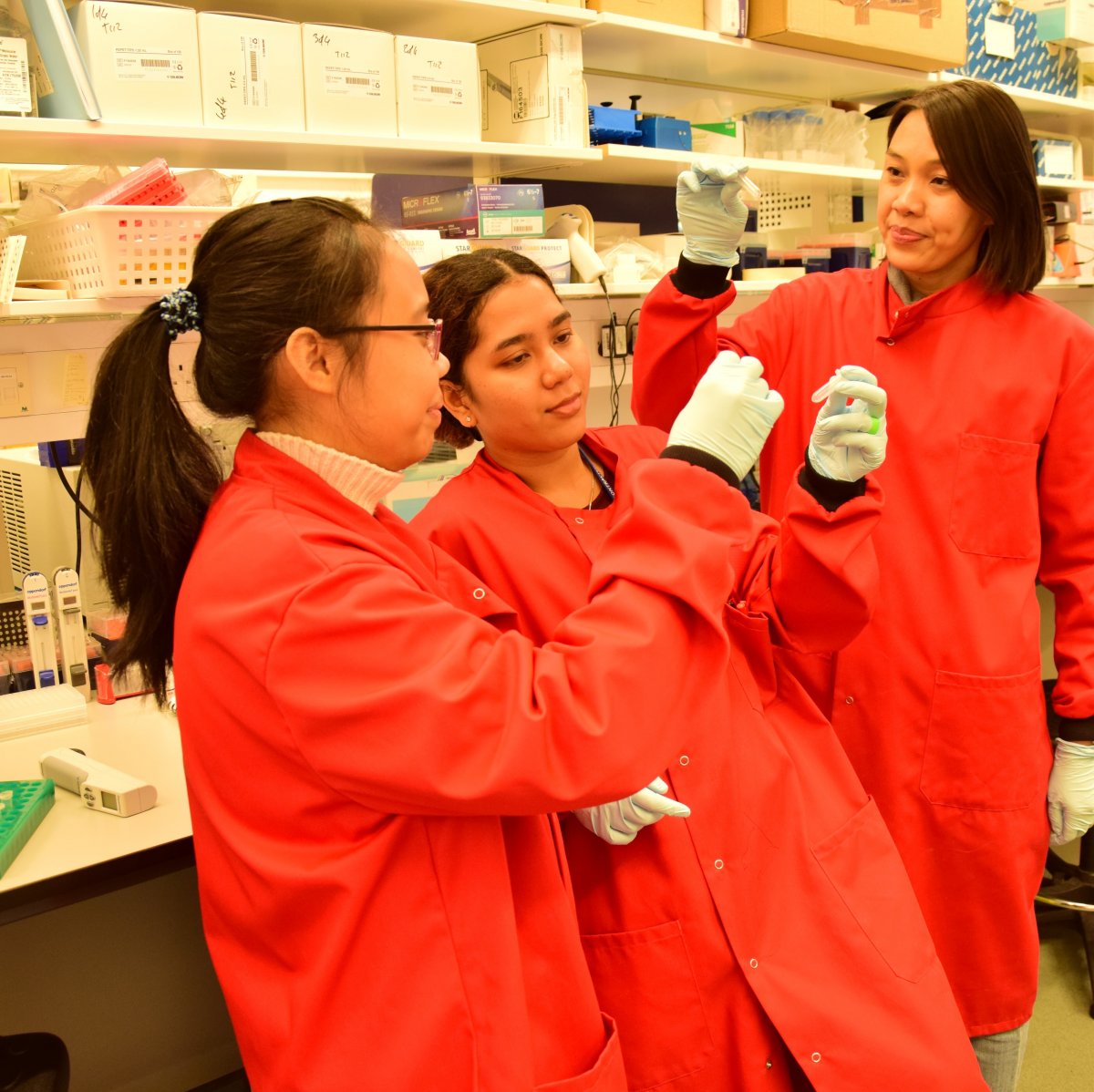 Angela (middle) compares samples with her colleagues Agatha Mia Puspitasari (left) and Willy Augustine (right).