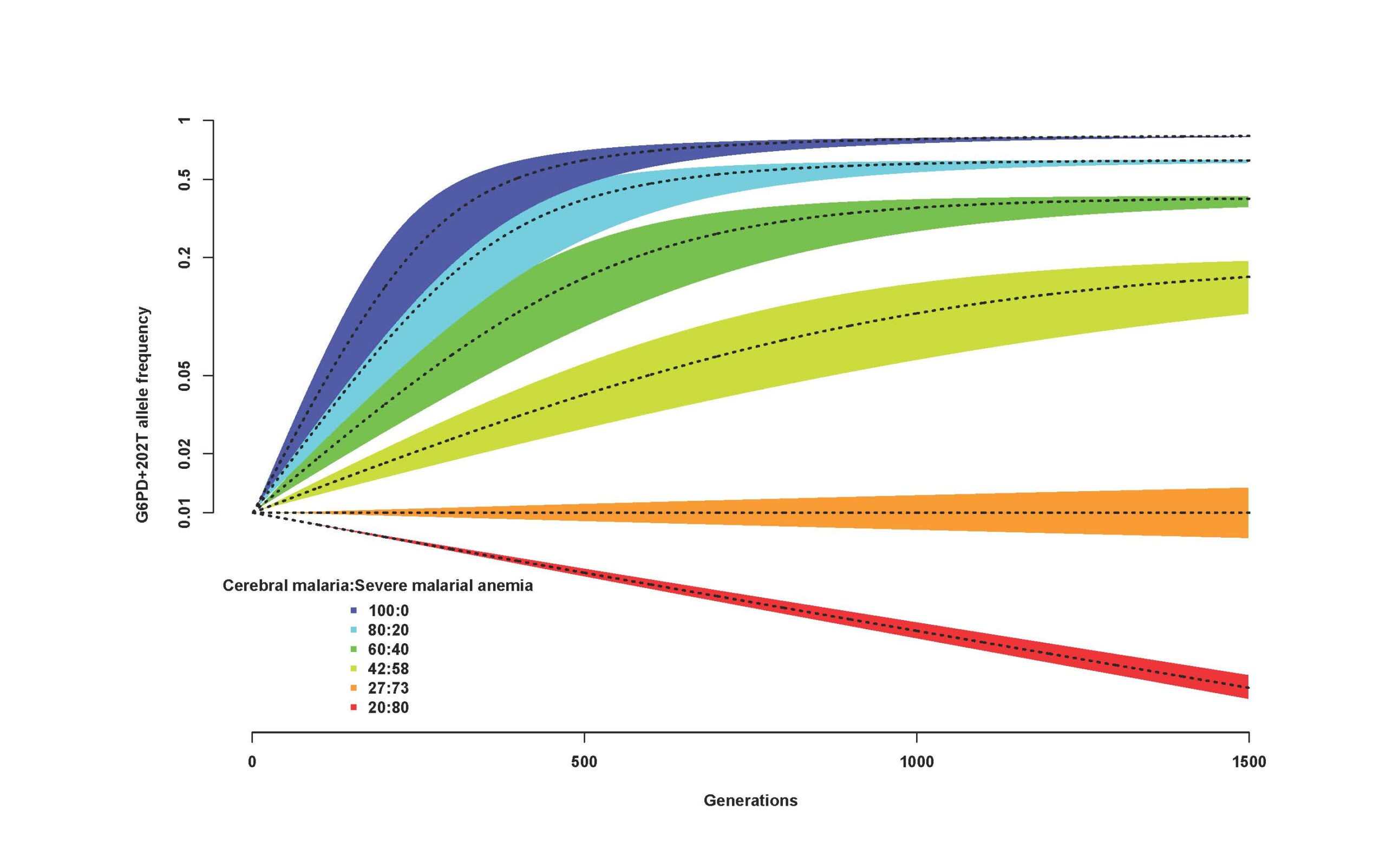 Figure 3 Allele frequency of G6PD+202T: Change in the allele frequency of G6PD+202T under the adapted Levene model. eLife, CC-BY 4.0.