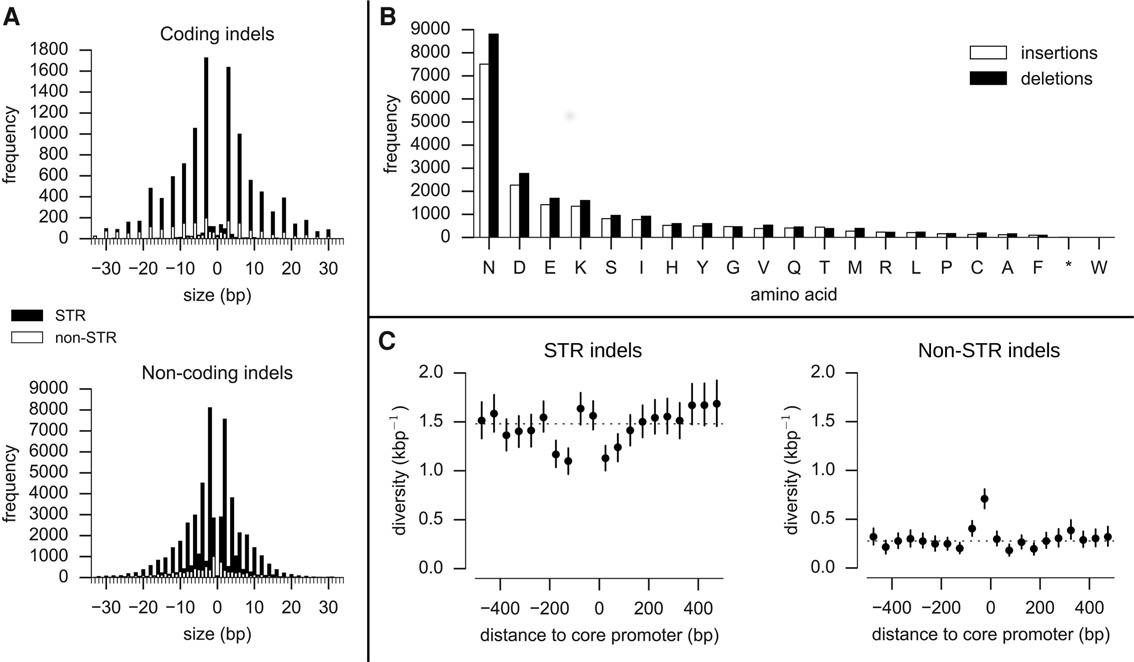 Figure 1: Properties of indels.