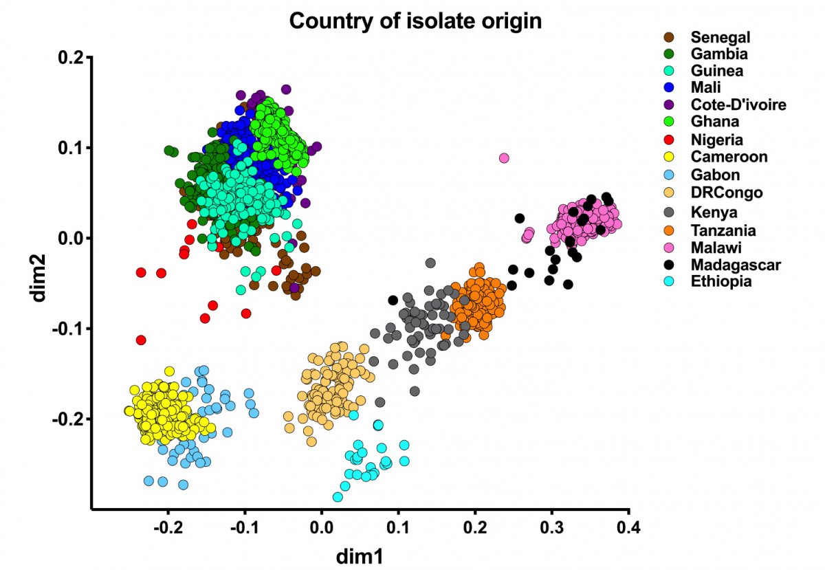 Genome sequencing of malaria parasite samples from 15 African countries reveals that the parasites are genetically distinct according to which region of Africa they are found. Furthermore, these regional populations are sharing genetic material in all directions – including genes that can confer resistance to antimalarial drugs