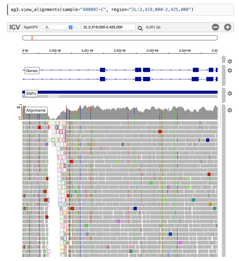 Anophleles genome training