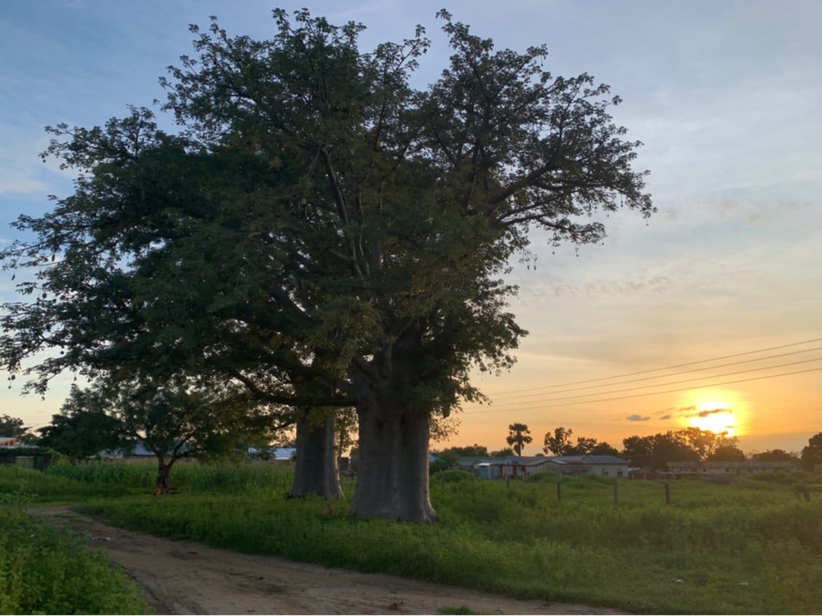 Sunset in Navrongo, Upper East Region, Ghana.