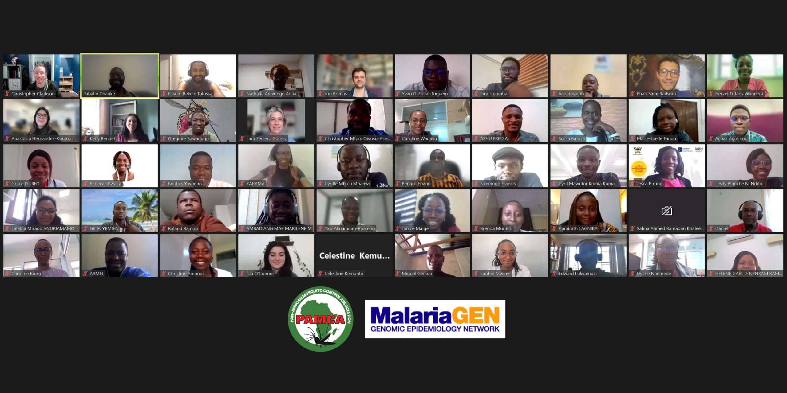 Zoom screen with participants of the PAMCA-MalariaGEN training course