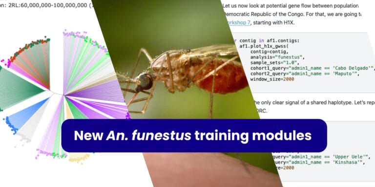 A collage of two training module pages with a picture of Anopheles funestus, with the words "An. funestus training modules" overlaid on top.